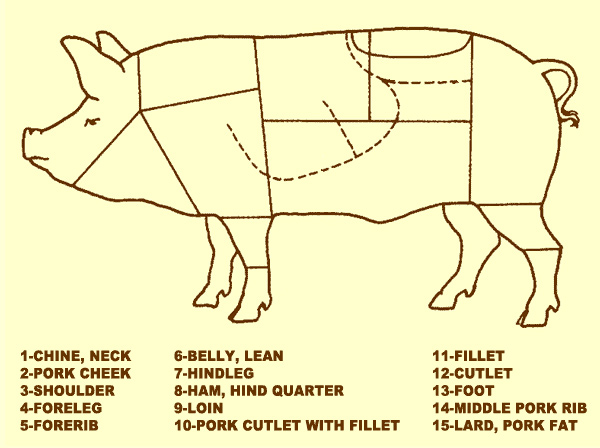Diagram of pork cuts
